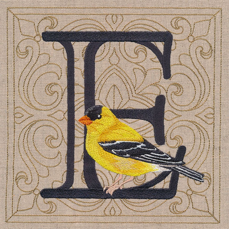 For the Love of Birds Square – Letter E & Goldfinch