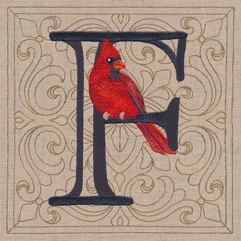 For the Love of Birds Square – Letter F and Male Cardinal