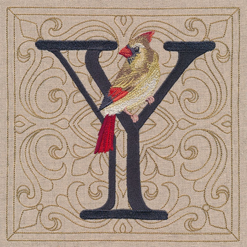 For the Love of Birds Square – Letter Y and Female Cardinal