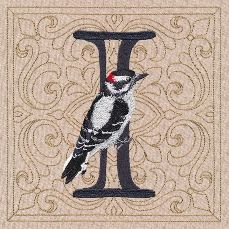 For the Love of Spring Birds Square – Letter I and Downy Woodpecker