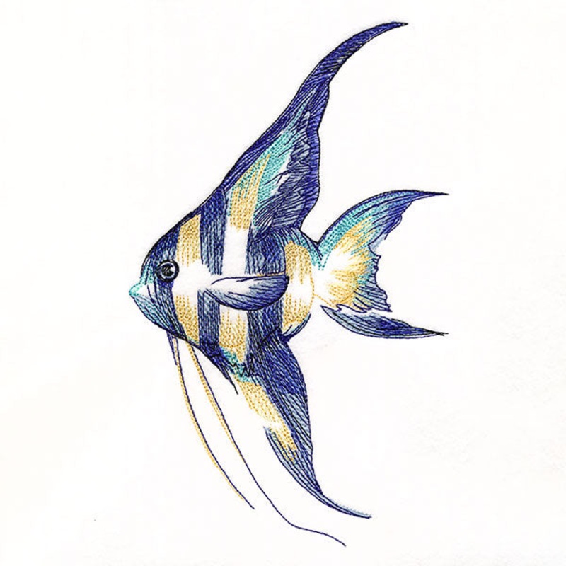 Contours of Beauty Angel Fish|9.31″ x 5.85″ / 236.39mm x 148.52mm|7.8″ x 4.9″ / 198.16mm x 124.47mm|6.85″ x 4.3″ / 174.03mm x 109.31mm|All Sizes