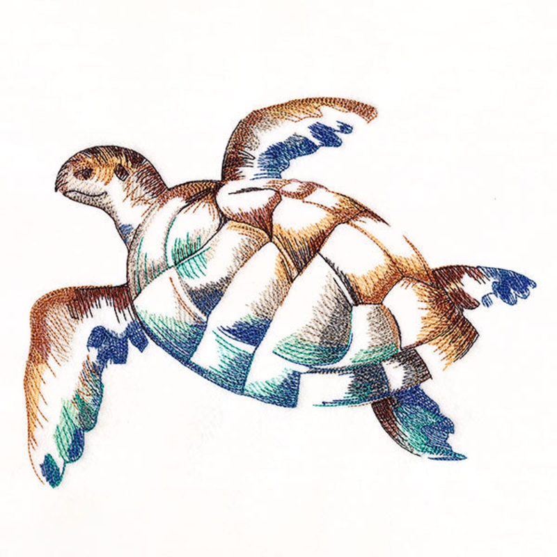 Contours of Beauty Sea Turtle|6.85″ x 9.11″ / 173.99mm x 231.43mm|5.84″ x 7.77″ / 148.45mm x 197.41mm|4.85″ x 6.45″ / 123.19mm x 163.71mm|All Sizes