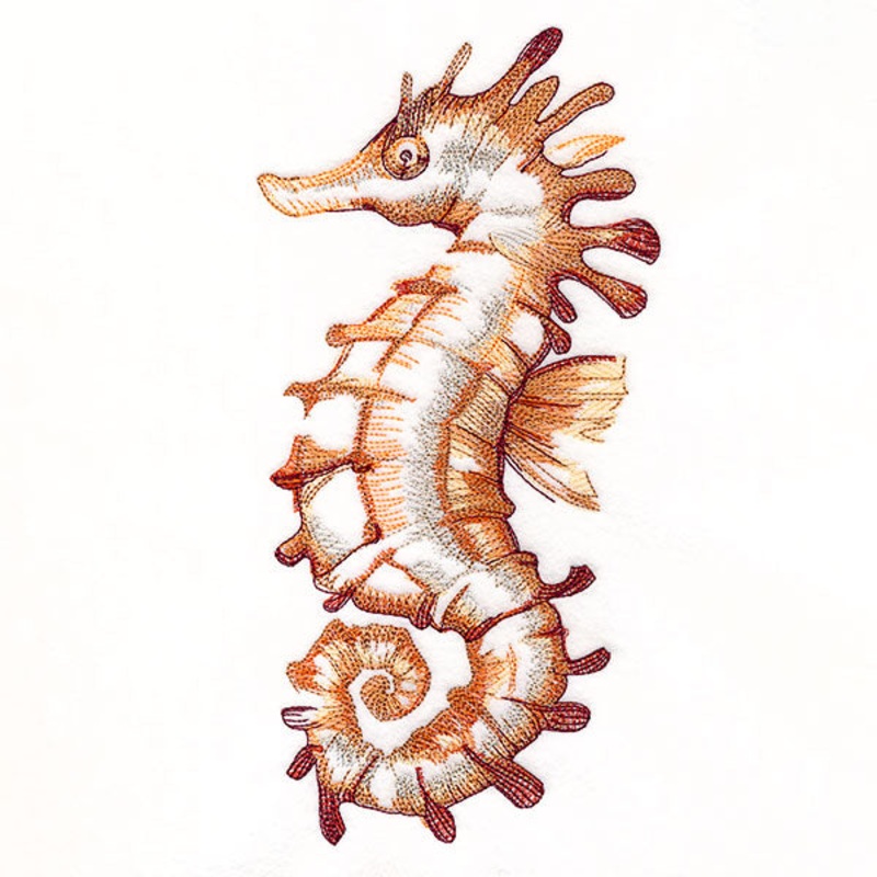 Contours of Beauty Seahorse|9.4″ x 4.67″ / 238.76mm x 118.55mm|7.8″ x 3.87″ / 198.12mm x 98.38mm|6.85″ x 3.4″ / 173.99mm x 86.4mm|All Sizes