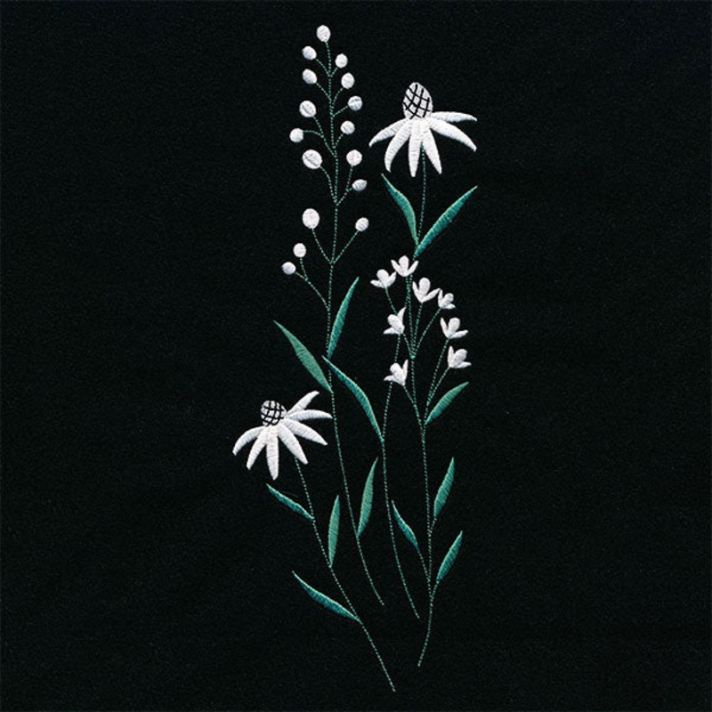 Daisies in the Summer Tall Border