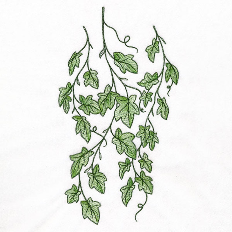 Draping English Ivy Border|11.75″ x 6.52″ / 298.45mm x 165.48mm|9.4″ x 5.21″ / 238.76mm x 132.35mm|7.8″ x 4.32″ / 198.12mm x 109.82mm|6.85″ x 3.8″ / 173.99mm x 96.44mm|All Sizes