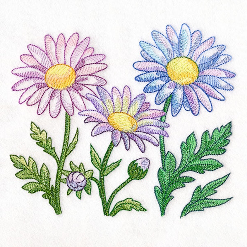 Flourish and Grow Daisies Border