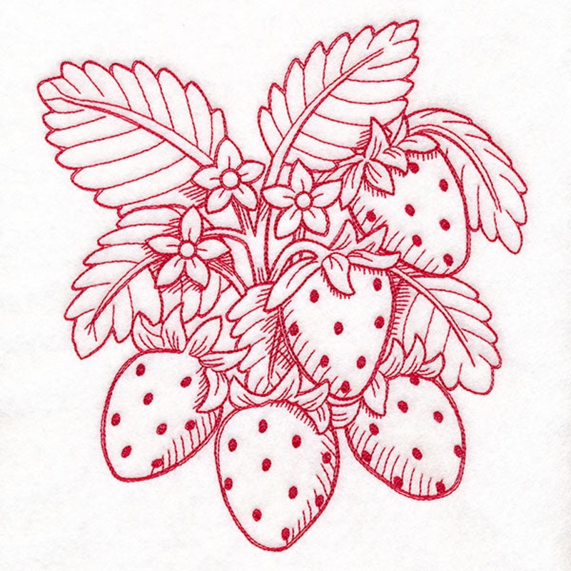 Fresh From Harvest Strawberries Etching