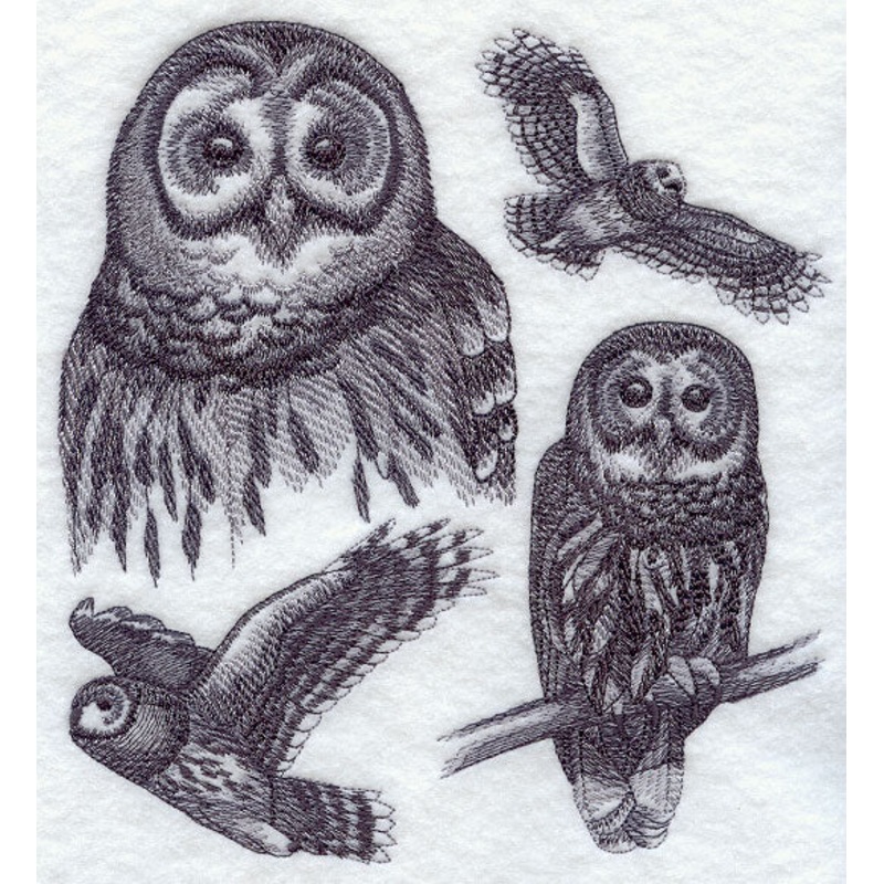 Barred Owl Sketch|7.8″ x 7.08″ / 198.15mm x 179.79mm|6.43″ x 5.86″ / 163.37mm x 148.85mm|5.31″ x 4.85″ / 134.89mm x 123.13mm|7.55″ x 6.85″ / 191.81mm x 173.98mm|All Sizes
