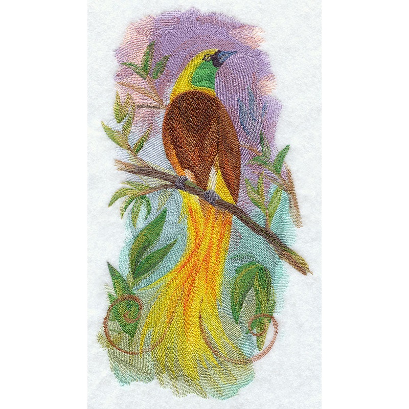 Bird of Paradise in Watercolor