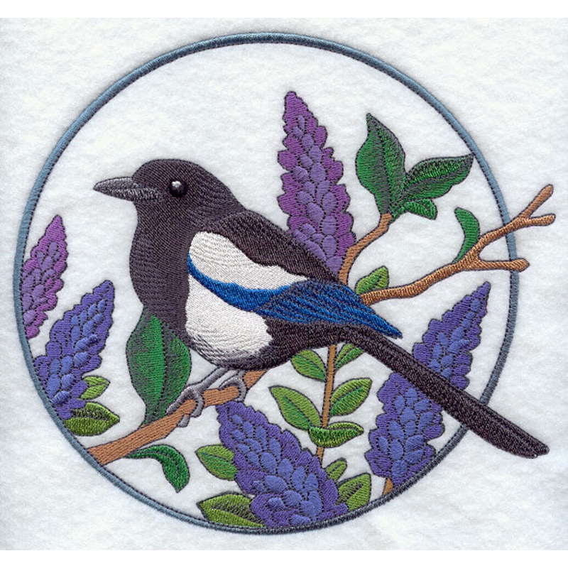 Black-billed Magpie and Lupine Circle