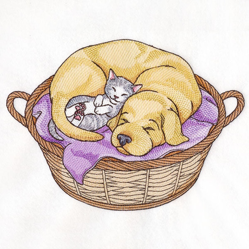 Cuddling Friends Cat and Dog|6.89″ x 9.49″ / 174.89mm x 240.94mm|5.68″ x 7.82″ / 144.18mm x 198.67mm|4.85″ x 6.69″ / 123.29mm x 169.99mm|All Sizes