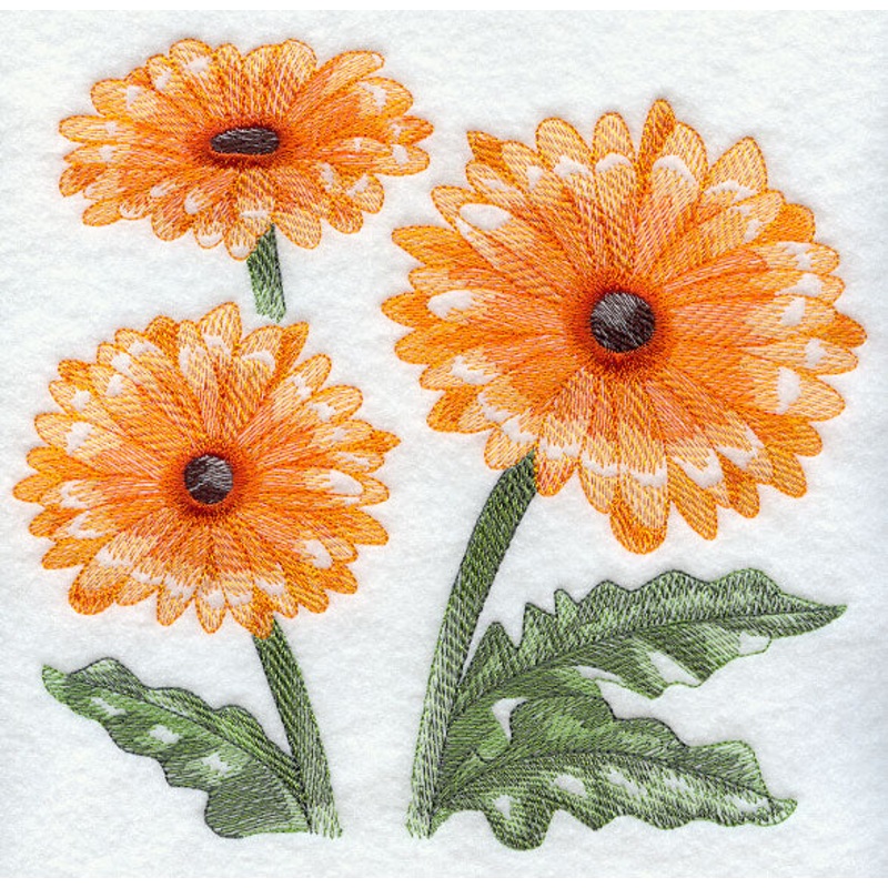 Daisy Sketch|7.38″ x 7.78″ / 187.45mm x 197.61mm|5.86″ x 6.18″ / 148.84mm x 156.97mm|4.86″ x 5.12″ / 123.44mm x 130.05mm|3.65″ x 3.84″ / 92.71mm x 97.54mm|6.88″ x 7.25″ / 174.75mm x 184.15mm|All Sizes