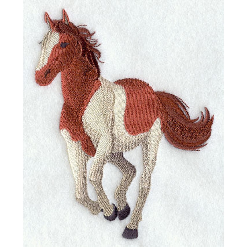 American Paint Horse|5.54″ x 4.31″ / 140.71mm x 109.48mm|3.86″ x 3″ / 98.02mm x 76.14mm|All Sizes
