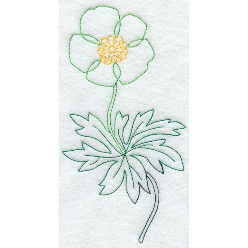 Canada Anemone 1 (Vintage)|9.38″ x 4.9″ / 238.35mm x 124.53mm|7.79″ x 4.07″ / 197.83mm x 103.39mm|6.81″ x 3.56″ / 173.08mm x 90.48mm|All Sizes