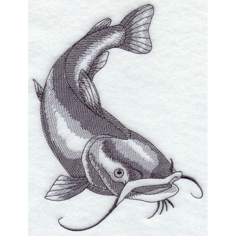Flathead Catfish Sketch|7.77″ x 5.85″ / 197.34mm x 148.47mm|6.45″ x 4.85″ / 163.72mm x 123.17mm|3.86″ x 2.9″ / 97.92mm x 73.68mm|All Sizes