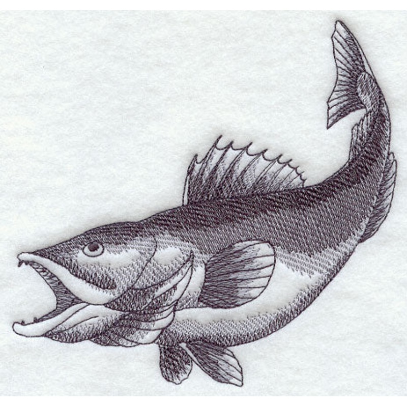 Walleye Sketch|5.85″ x 5.97″ / 148.54mm x 151.67mm|4.85″ x 4.95″ / 123.15mm x 125.74mm|3.77″ x 3.85″ / 95.78mm x 97.79mm|All Sizes