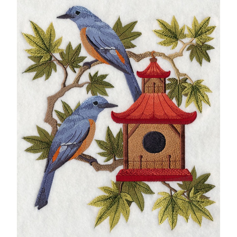 Blue Rock Thrushes and Birdhouse