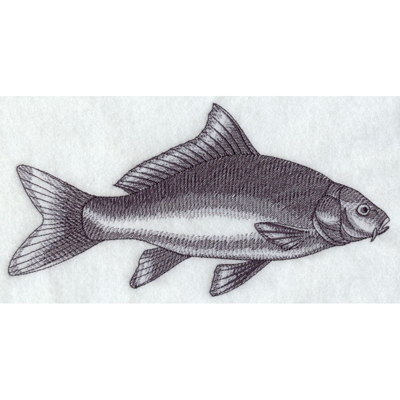 Carp Sketch|4.7″ x 9.38″ / 119.35mm x 238.17mm|3.43″ x 6.84″ / 87.08mm x 173.86mm|1.94″ x 3.88″ / 49.27mm x 98.6mm|All Sizes