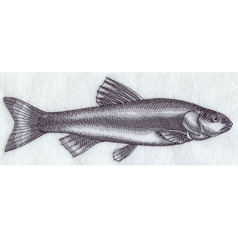 Chub Sketch|3.48″ x 9.39″ / 88.4mm x 238.38mm|2.54″ x 6.85″ / 64.55mm x 174.11mm|1.42″ x 3.85″ / 36.07mm x 97.76mm|All Sizes