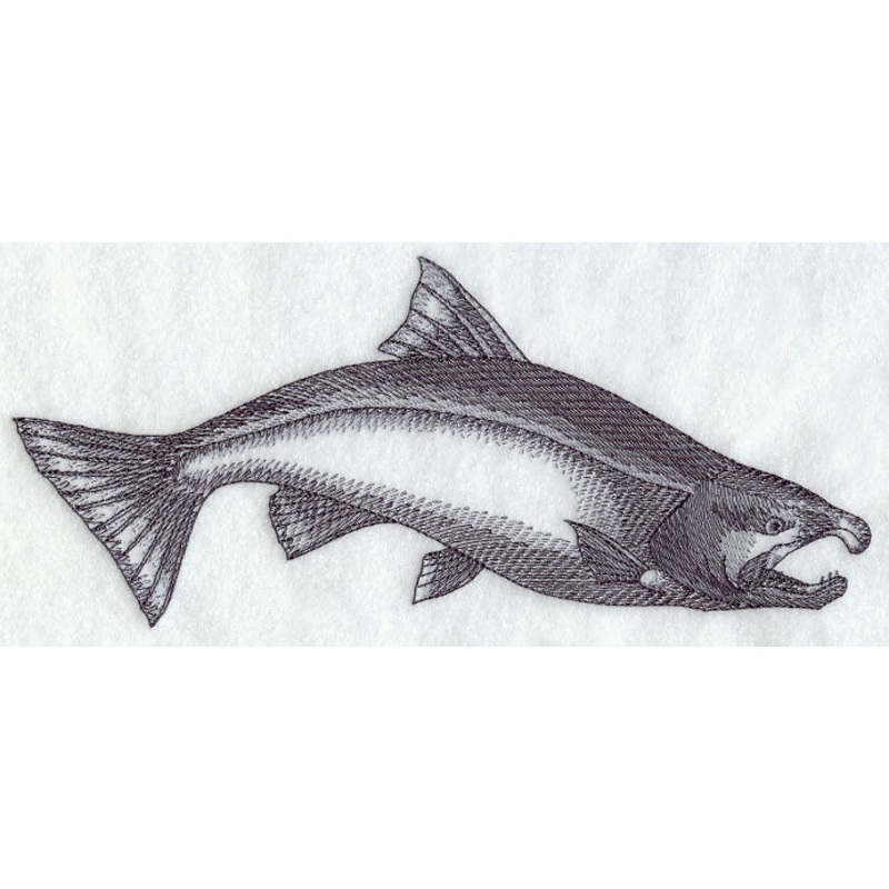 Coho Salmon Sketch|4.07″ x 9.38″ / 103.38mm x 238.23mm|2.97″ x 6.85″ / 75.54mm x 173.94mm|1.66″ x 3.85″ / 42.17mm x 97.82mm|All Sizes