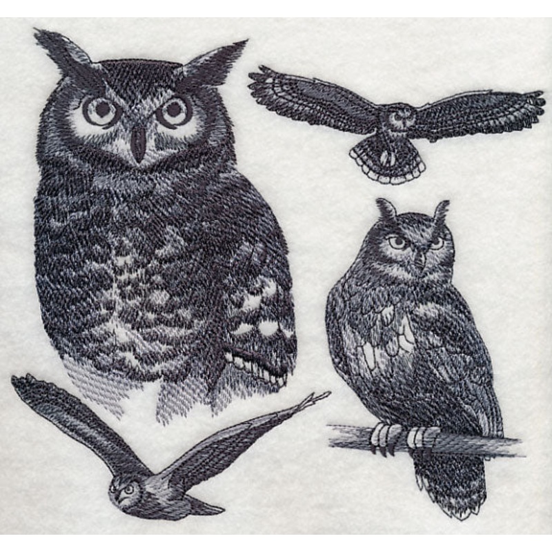 Eagle Owl Sketch|7.18″ x 7.8″ / 182.44mm x 198.12mm|6.35″ x 6.9″ / 161.35mm x 175.27mm|5.84″ x 6.38″ / 148.39mm x 162.04mm|4.84″ x 5.27″ / 122.92mm x 133.74mm|All Sizes