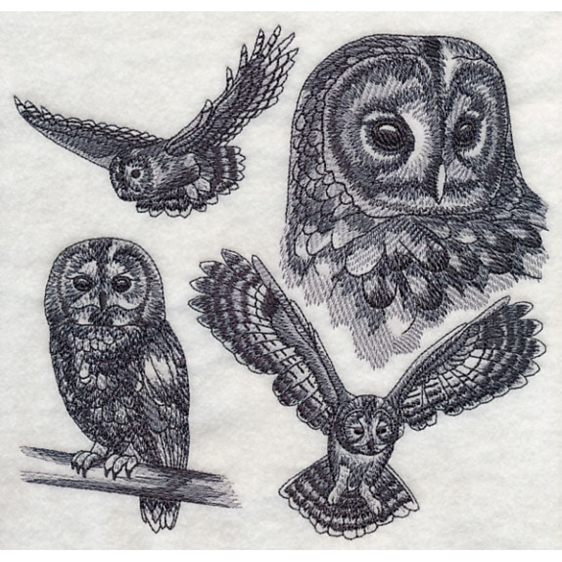 Tawny Owl Sketch|7.33″ x 7.78″ / 186.18mm x 197.56mm|6.49″ x 6.88″ / 164.84mm x 174.65mm|5.85″ x 6.21″ / 148.59mm x 157.62mm|4.83″ x 5.13″ / 122.79mm x 130.28mm|All Sizes