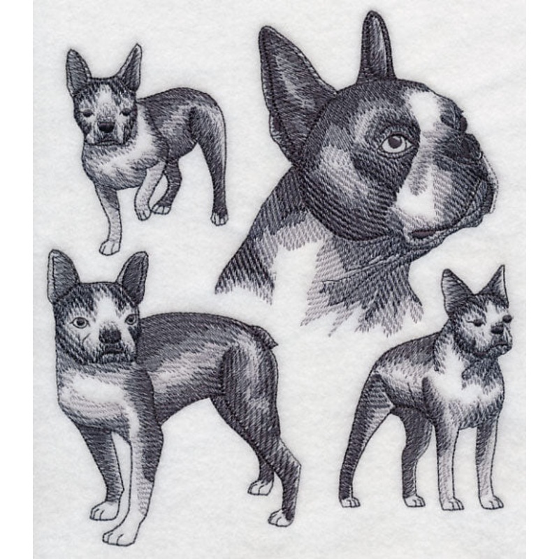 Boston Terrier Sketch|7.8″ x 6.87″ / 198.12mm x 174.58mm|6.9″ x 6.08″ / 175.27mm x 154.45mm|6.62″ x 5.85″ / 168.16mm x 148.67mm|5.47″ x 4.84″ / 138.83mm x 122.91mm|All Sizes