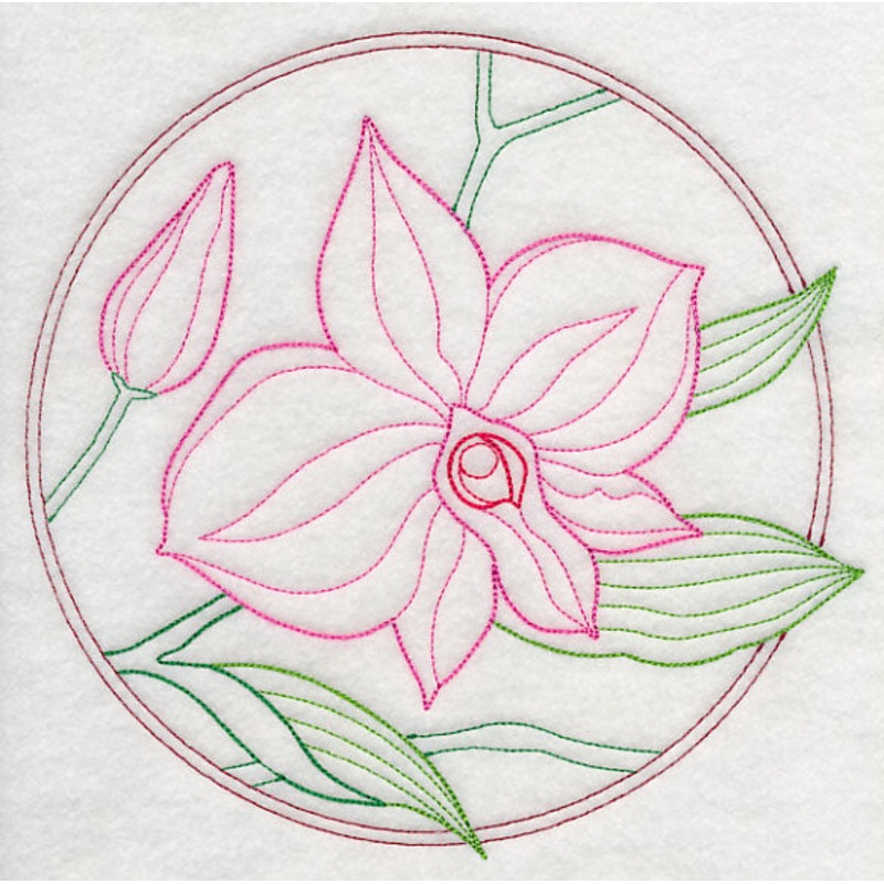 Elegant Flower Circle – Cooktown Orchid (Vintage)