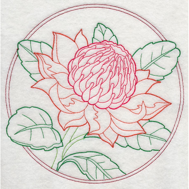 Elegant Flower Circle – Waratah (Vintage)