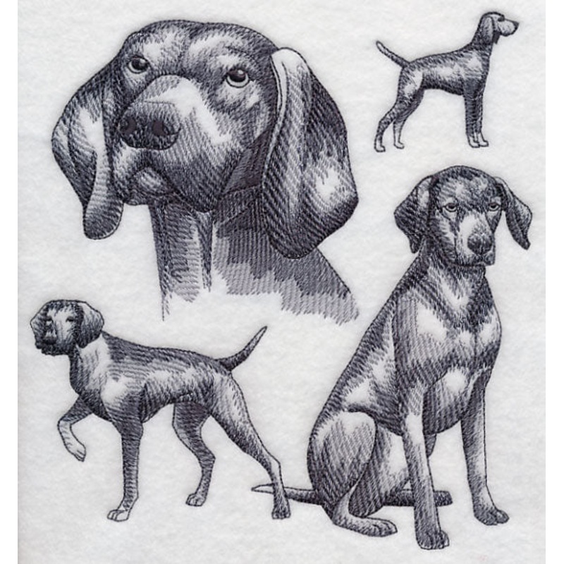 Vizsla Sketch|7.8″ x 7.39″ / 198.12mm x 187.71mm|6.9″ x 6.54″ / 175.27mm x 166.11mm|6.15″ x 5.84″ / 156.21mm x 148.33mm|5.08″ x 4.84″ / 129.08mm x 122.96mm|All Sizes