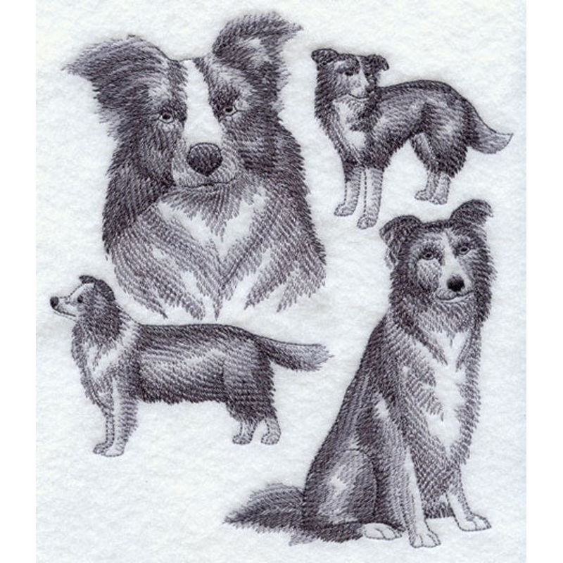 Border Collie Sketch|7.99″ x 6.89″ / 202.9mm x 175.11mm|7.8″ x 6.73″ / 198.01mm x 171.01mm|6.78″ x 5.85″ / 172.21mm x 148.66mm|5.59″ x 4.85″ / 142.03mm x 123.26mm|All Sizes