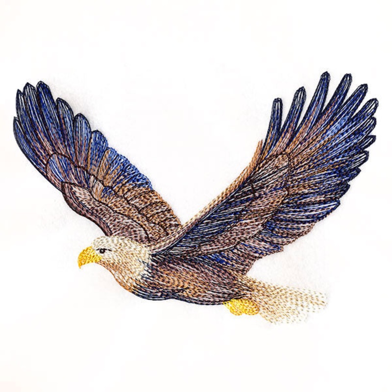 Carried Away Bald Eagle|6.85″ x 9.8″ / 173.99mm x 249.01mm|5.45″ x 7.79″ / 138.32mm x 197.91mm|4.78″ x 6.85″ / 121.47mm x 173.92mm|All Sizes