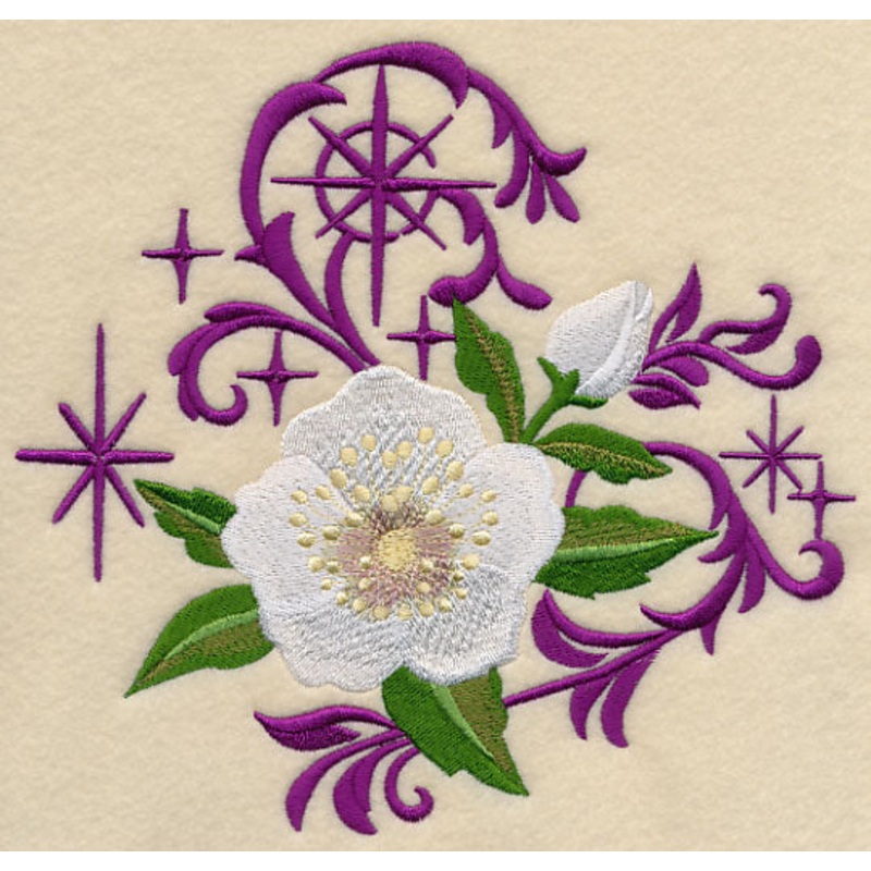 Christmas Lenten Rose with Echoes