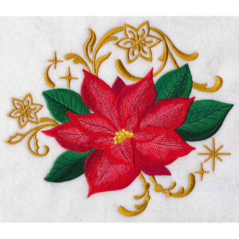 Christmas Poinsettia with Echoes
