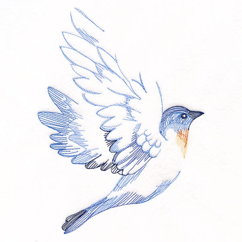 Contours of Beauty Bluebird|9.19″ x 6.85″ / 233.48mm x 173.99mm|7.8″ x 5.81″ / 198.09mm x 147.62mm|6.51″ x 4.85″ / 165.31mm x 123.19mm|All Sizes