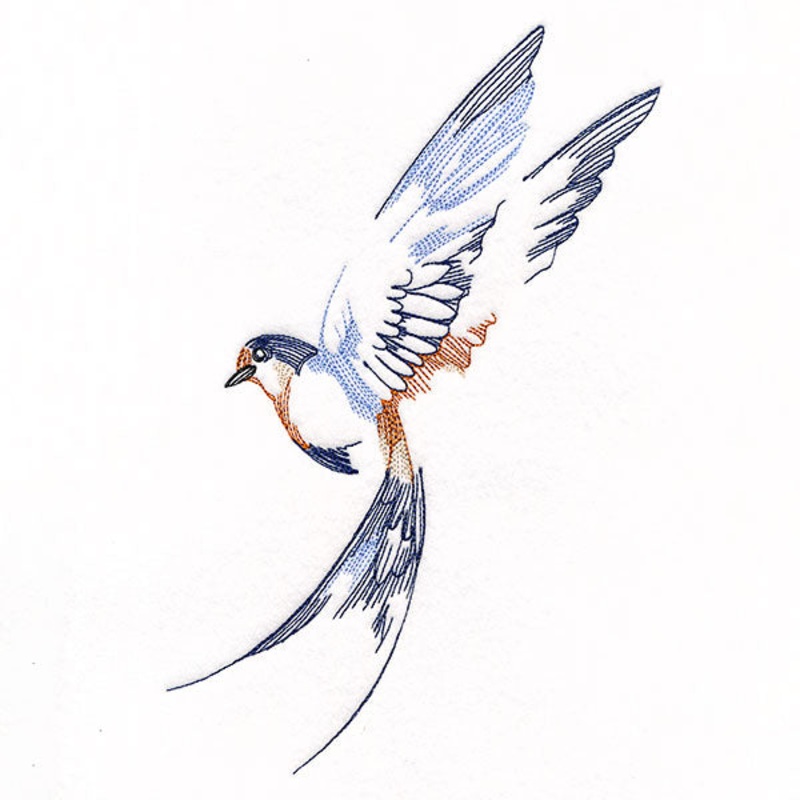 Contours of Beauty Swallow|9.39″ x 5.71″ / 238.49mm x 144.93mm|7.79″ x 4.73″ / 197.9mm x 120.26mm|6.85″ x 4.16″ / 173.99mm x 105.61mm|All Sizes