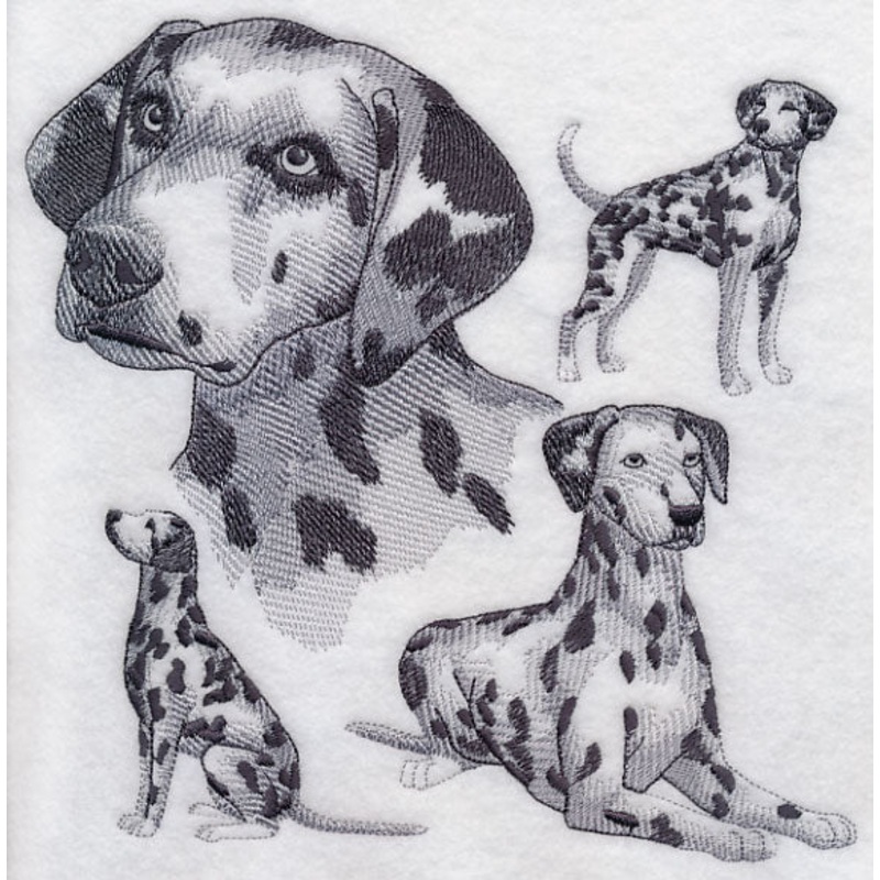 Dalmatian Sketch|7.78″ x 7.8″ / 197.58mm x 198.09mm|6.88″ x 6.9″ / 174.77mm x 175.24mm|5.84″ x 5.85″ / 148.21mm x 148.58mm|4.83″ x 4.84″ / 122.55mm x 122.92mm|All Sizes