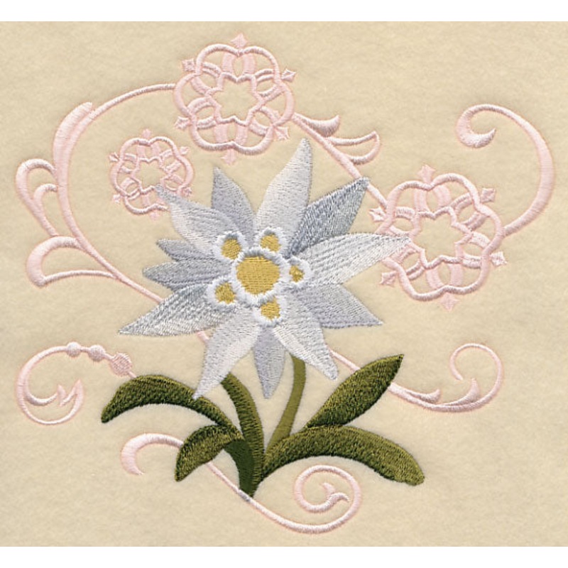 Edelweiss and Snowflake Echo|6.9″ x 7.55″ / 175.26mm x 191.77mm|5.86″ x 6.41″ / 148.84mm x 162.81mm|4.81″ x 5.27″ / 122.25mm x 133.79mm|3.53″ x 3.86″ / 89.61mm x 98.11mm|All Sizes