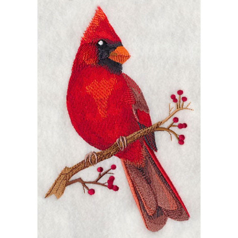 Cardinal on Berry Branch|6.89″ x 4.45″ / 175.06mm x 113mm|3.88″ x 2.5″ / 98.44mm x 63.51mm|All Sizes