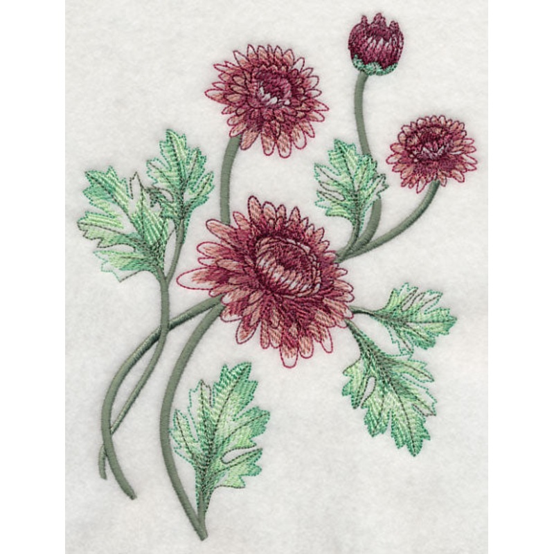 Classy Chrysanthemums 2|7.8″ x 5.75″ / 198.12mm x 146.05mm|6.59″ x 4.85″ / 167.29mm x 123.15mm|3.85″ x 2.98″ / 97.76mm x 75.75mm|All Sizes