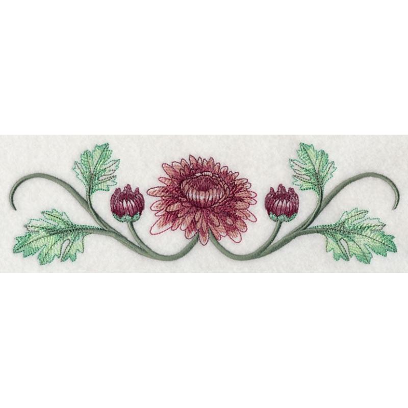 Classy Chrysanthemums Border 1