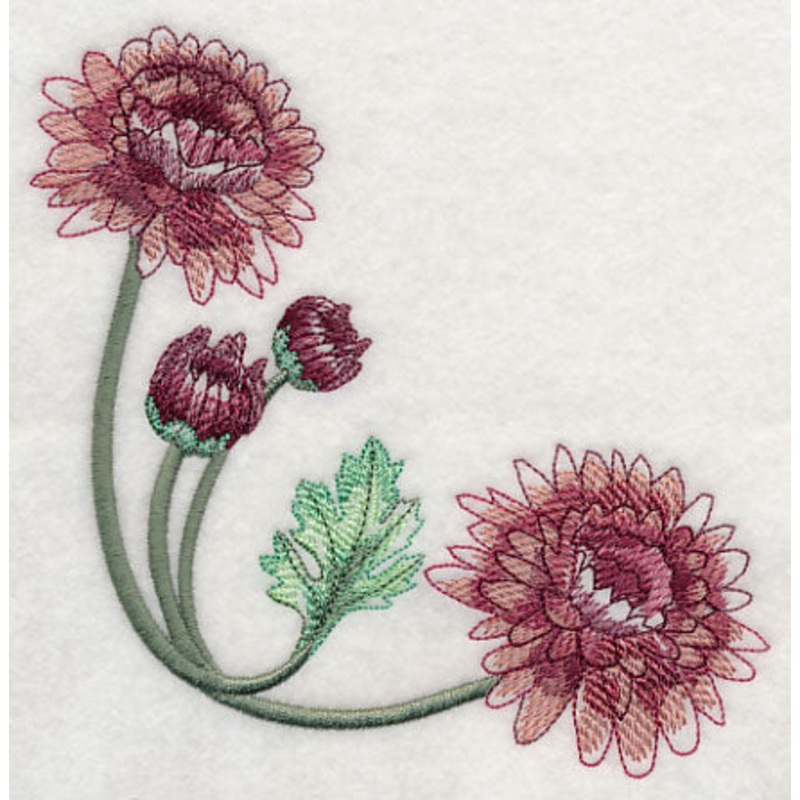 Classy Chrysanthemums Corner 2