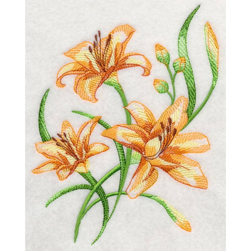 Delicate Daylilies 2|7.78″ x 5.84″ / 197.64mm x 148.32mm|6.45″ x 4.84″ / 163.86mm x 122.96mm|3.86″ x 2.9″ / 97.99mm x 73.53mm|All Sizes