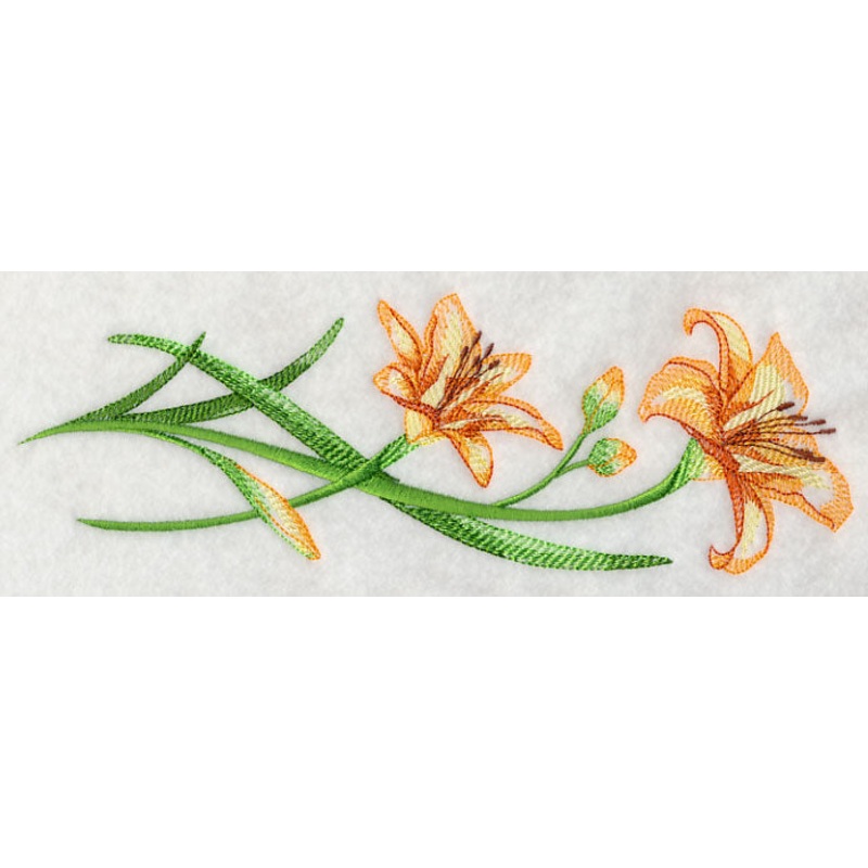 Delicate Daylilies Border 1|3.06″ x 9.37″ / 77.67mm x 238.05mm|2.07″ x 6″ / 52.51mm x 152.39mm|1.26″ x 3.86″ / 32.07mm x 98.13mm|All Sizes