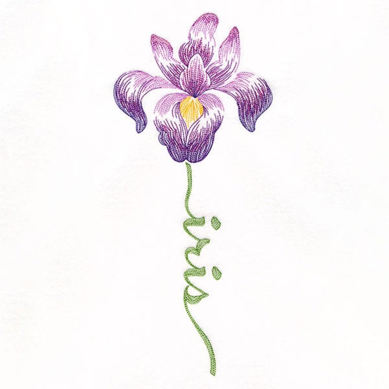 Flourishing Calligraphy – Iris