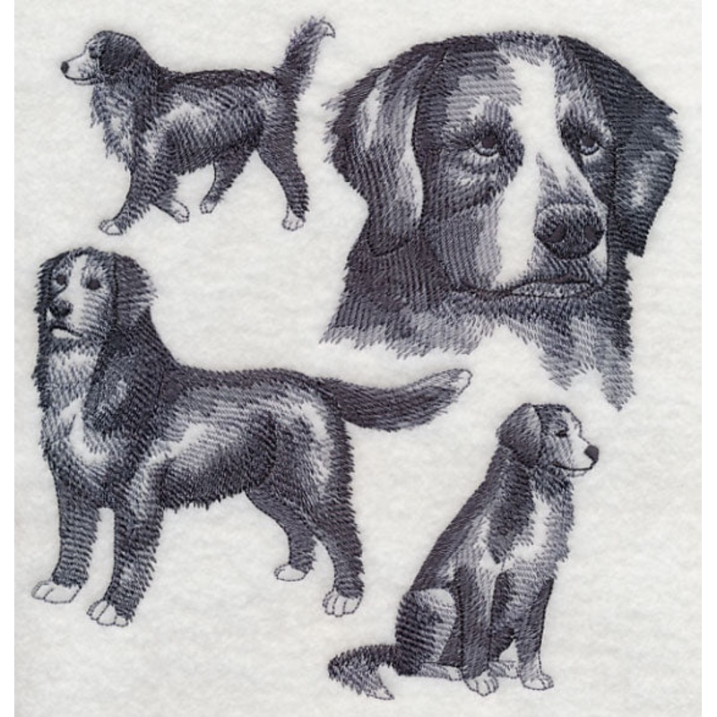 Bernese Mountain Dog Sketch|7.8″ x 7.42″ / 198mm x 188.55mm|6.9″ x 6.61″ / 175.14mm x 167.93mm|6.11″ x 5.81″ / 155.28mm x 147.67mm|5.07″ x 4.86″ / 128.82mm x 123.45mm|All Sizes