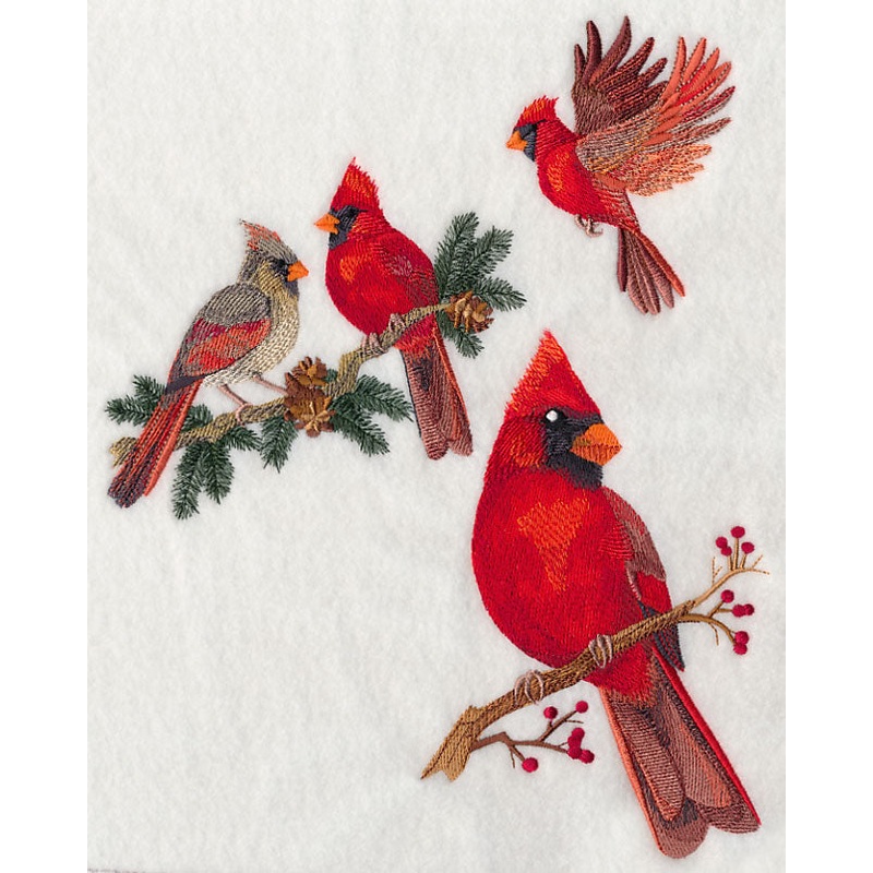 Cardinal Collage|11.02″ x 8.58″ / 280mm x 217.93mm|8.91″ x 6.95″ / 226.2mm x 176.53mm|7.54″ x 5.88″ / 191.54mm x 149.31mm|6.24″ x 4.85″ / 158.37mm x 123.19mm|All Sizes