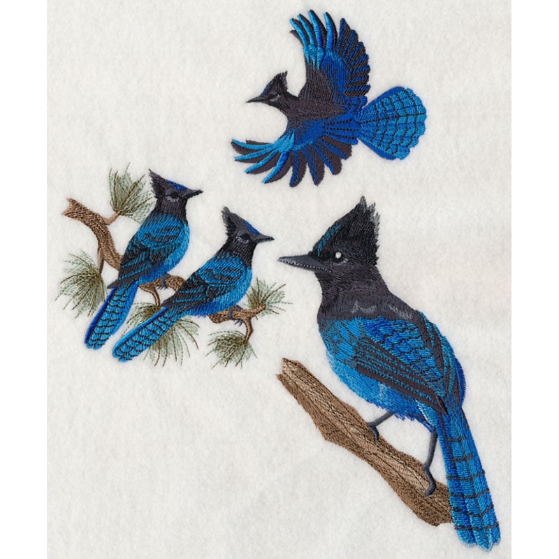 Steller’s Jay Collage|11.08″ x 8.58″ / 281.33mm x 218.06mm|8.95″ x 6.94″ / 227.34mm x 176.16mm|7.56″ x 5.86″ / 191.97mm x 148.75mm|6.27″ x 4.86″ / 159.33mm x 123.36mm|All Sizes