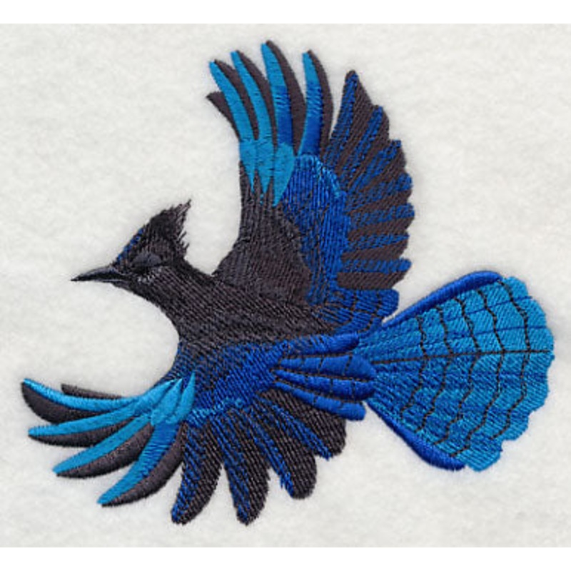 Steller’s Jay in Flight|4.62″ x 5.05″ / 117.35mm x 128.27mm|3.56″ x 3.89″ / 90.42mm x 98.81mm|All Sizes