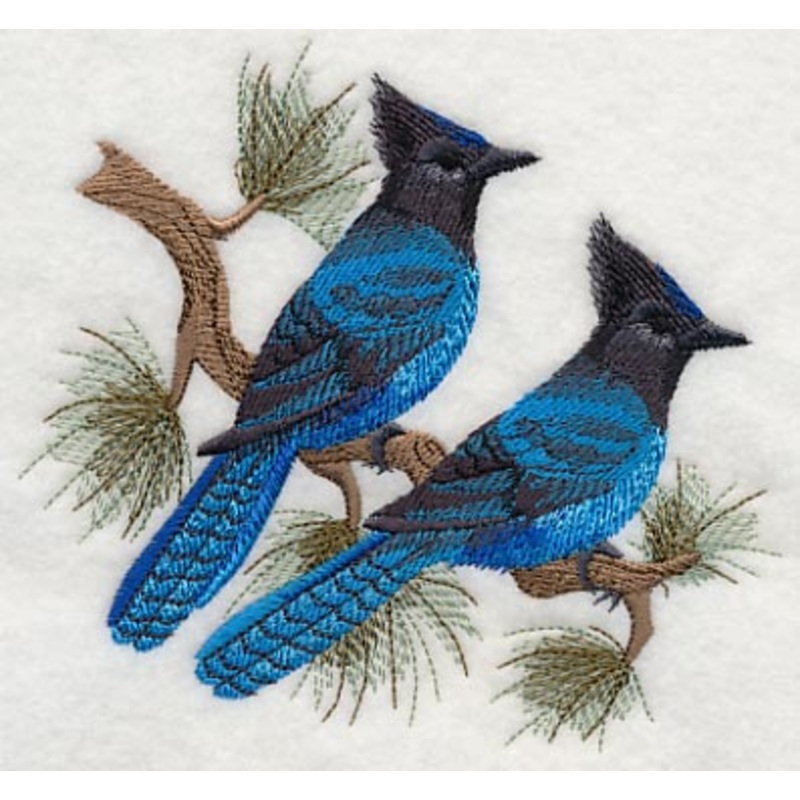 Steller’s Jays in Pine|4.85″ x 5.37″ / 123.19mm x 136.4mm|3.46″ x 3.84″ / 87.88mm x 97.54mm|All Sizes